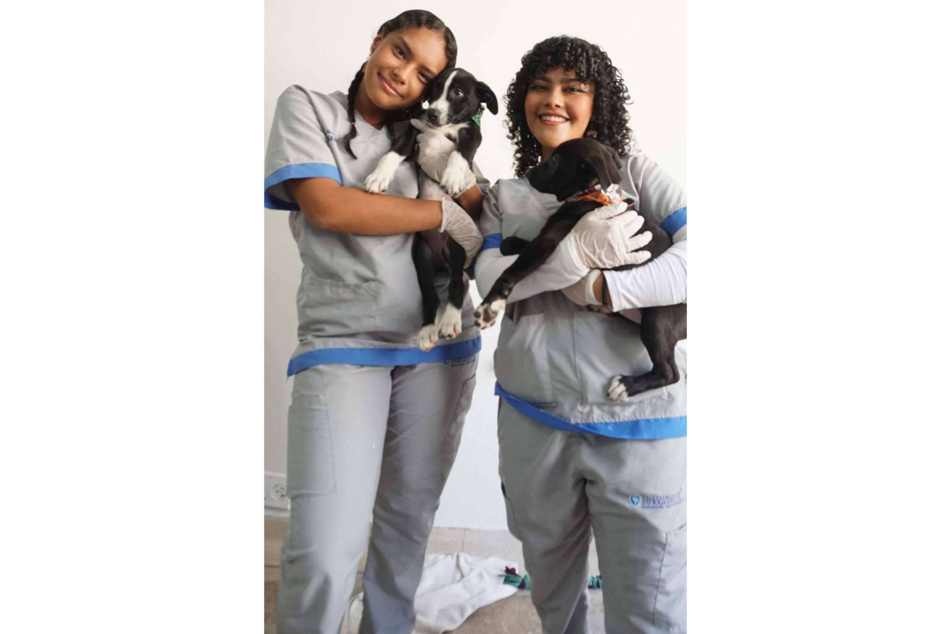 Jornadas gratuitas de bienestar animal del Politécnico de Suramérica objetivo; Reconocimiento del programa Auxiliar Veterinario del Politécnico de Suramérica