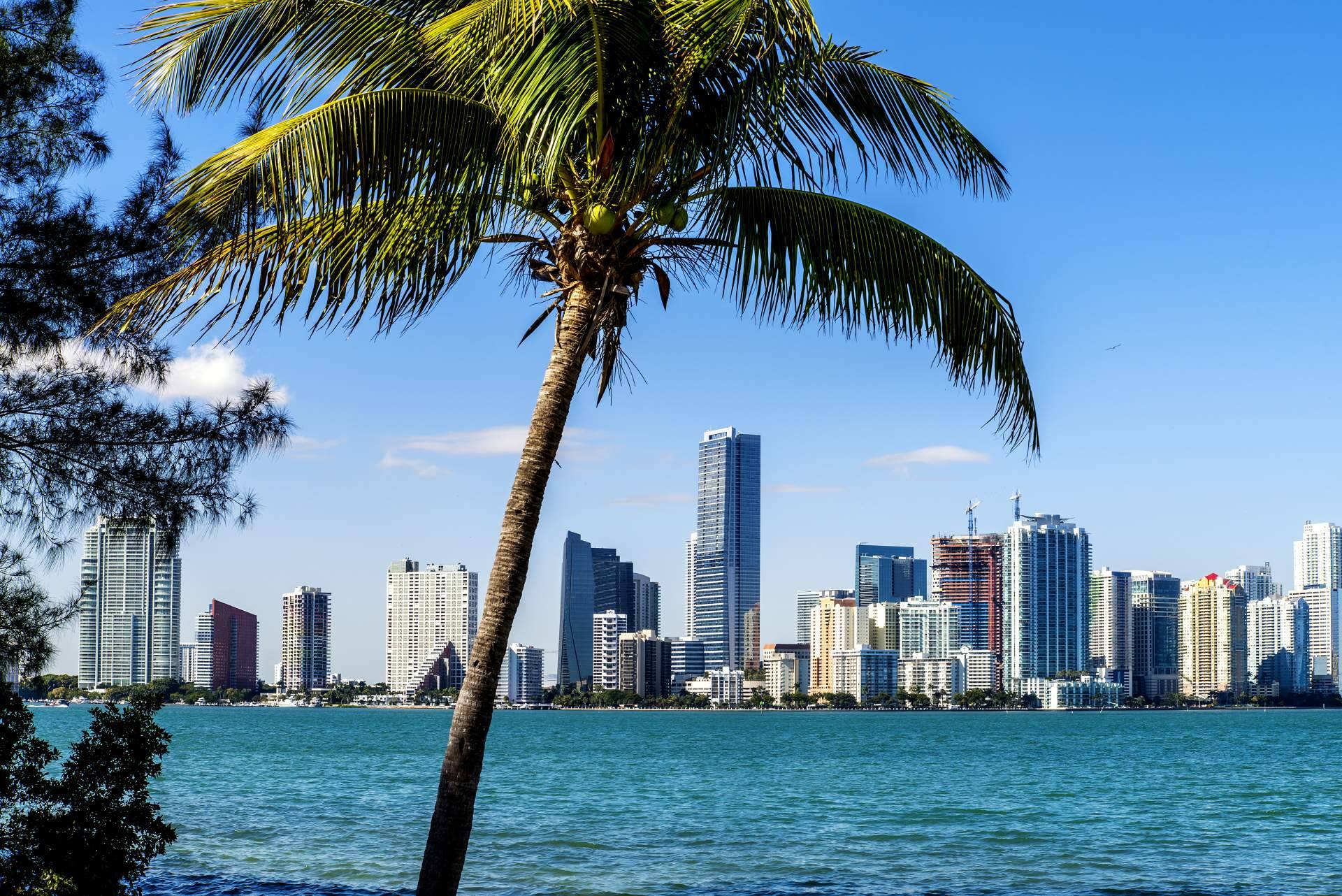 Cómo obtener éxito en la compraventa de apartamentos en Miami, de la mano de UTG Miami